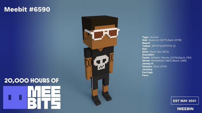 A Meebit #6590 NFT character display titled '20,000 HOURS OF MEEBITS', showing a 3D voxel human figure with white sunglasses, a skull shirt, and 'EST MAY 2021' details.
