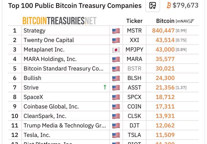 A list from BitcoinTreasuries.net of the Top 100 Public Bitcoin Treasury Companies showing Bitcoin price at $79,673, with Strategy (MSTR) leading at 840,447 BTC, followed by Twenty One Capital (XXI), Metaplanet (MPJPY), and MARA Holdings (MARA).
