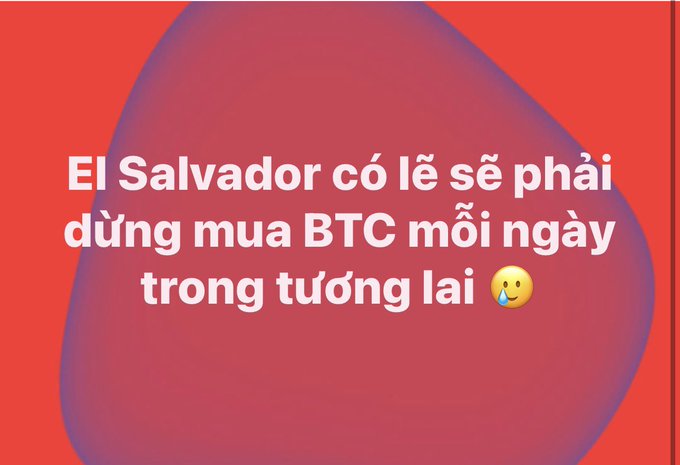 A red and purple gradient background displays Vietnamese text: 'El Salvador có lẽ sẽ phải dừng mua BTC mỗi ngày trong tương lai 🥲'.