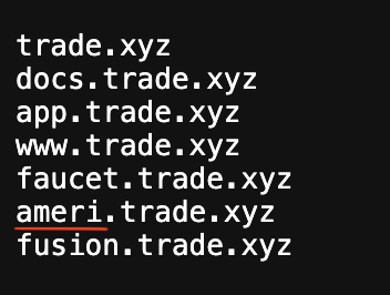 A list of subdomains under trade.xyz—including trade.xyz, docs.trade.xyz, app.trade.xyz, www.trade.xyz, faucet.trade.xyz, ameri.trade.xyz (underlined), and fusion.trade.xyz—highlighting the newly registered "ameri.trade.xyz" as evidence of a potential US-focused entry point.