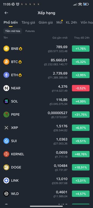 A cryptocurrency market ranking screen in Vietnamese titled 'Xếp hạng', showing prices and 24h changes for various tokens including BNB (+1.76%), BTC (+5.32%), ETH (+2.95%), NEAR (-0.52%), SOL (+4.99%), PEPE (+31.75%), and others.