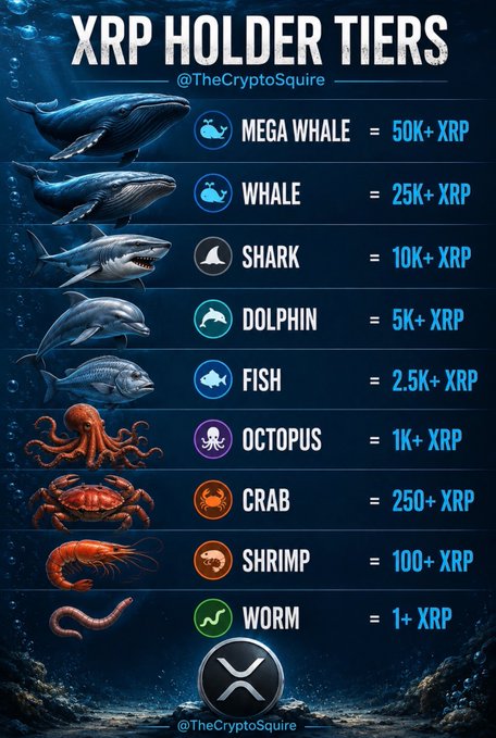 An "XRP Holder Tiers" infographic categorizing XRP holders by quantity into ocean-themed ranks—from "Worm" at 1+ XRP up to "Mega Whale" at 50K+ XRP. The post jokingly notes that every XRP holder now has an aquatic title based on their holdings.