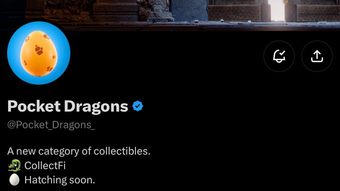 The image displays a Twitter/X profile page for "Pocket Dragons" (@Pocket_Dragons_), featuring a yellow speckled dragon egg as the profile picture against a dark background. The bio reads "A new category of collectibles" along with a "CollectFi" label and a "Hatching soon" message, suggesting an upcoming NFT or digital collectible project. This aligns with the accompanying post highlighting Pocket Dragons as an interesting find that is steadily gaining traction while still being early in its development stage.