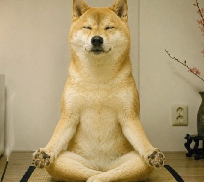 A Shiba Inu dog sits upright in a meditative lotus pose with eyes closed and a serene smile, positioned on a tatami mat in a room with a vase of cherry blossoms.