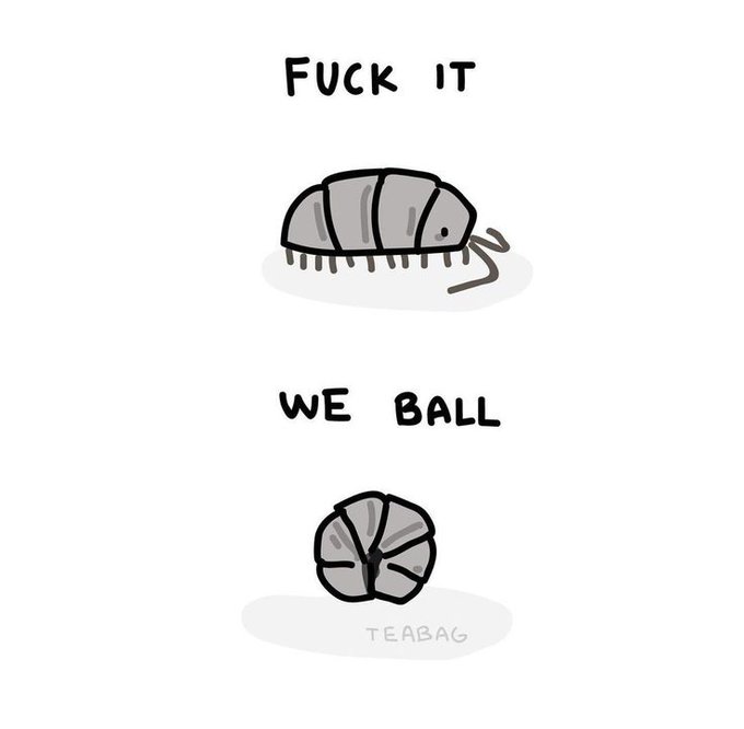 A simple cartoon illustration with the text 'FUCK IT' above a dead pill bug, and 'WE BALL' above a curled-up pill bug, with the signature 'TEABAG' at the bottom.