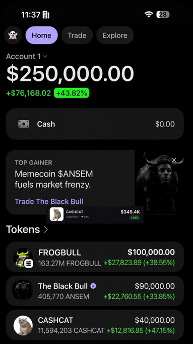 The image shows a crypto portfolio dashboard displaying a total balance of $250,000.00 (up +43.82% / +$76,168.02) with top holdings including FROGBULL ($100,000), The Black Bull/ANSEM ($90,000), and CASHCAT ($40,000). The post relates to the image by promoting a SOL airdrop giveaway, using the impressive portfolio gains and trending memecoins like ANSEM as social proof to attract followers and wallet addresses.