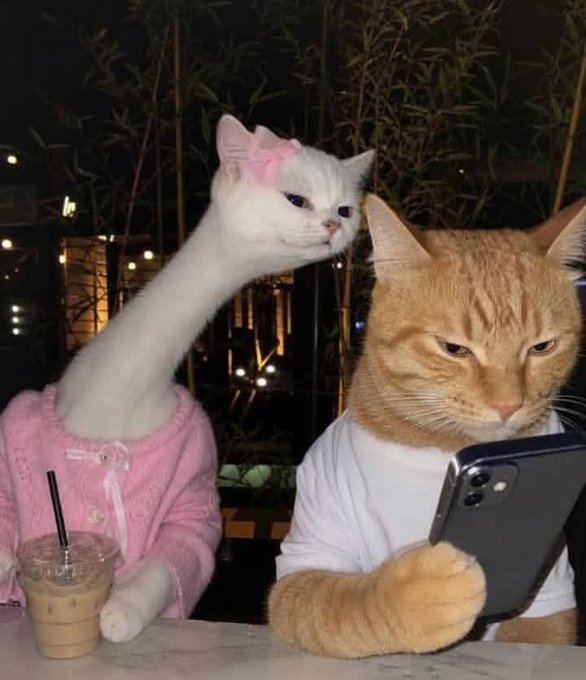 AI-generated image of a white cat with an elongated neck wearing a pink sweater and an orange cat in a white shirt, sitting at a table looking at a smartphone next to an iced coffee.