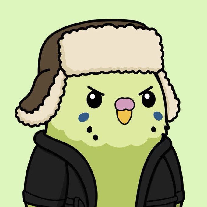 A cute cartoon illustration depicts a green bird-like character wearing a brown and cream winter trapper hat and a black hoodie, looking slightly grumpy.