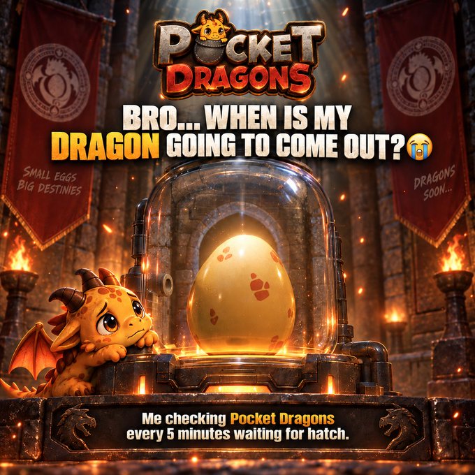 A fantasy-themed promotional image for 'Pocket Dragons' showing a small dragon next to a glowing egg in a glass dome, with text reading 'BRO... WHEN IS MY DRAGON GOING TO COME OUT? 😭' and 'Me checking Pocket Dragons every 5 minutes waiting for hatch.'