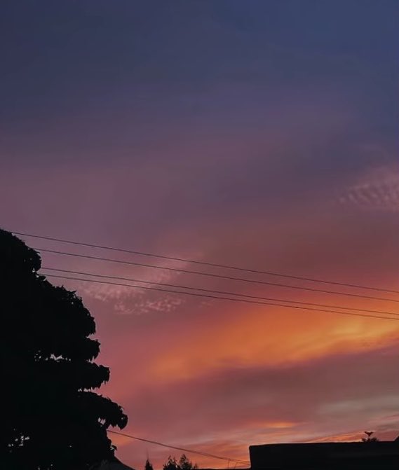 A vibrant sunset sky painted in deep purples and fiery oranges stretches above silhouetted treetops and power lines.