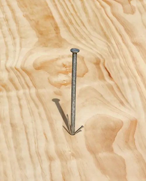 A large metal nail embedded in a wooden surface, casting a shadow with what appears to be green vegetation growing from its base.