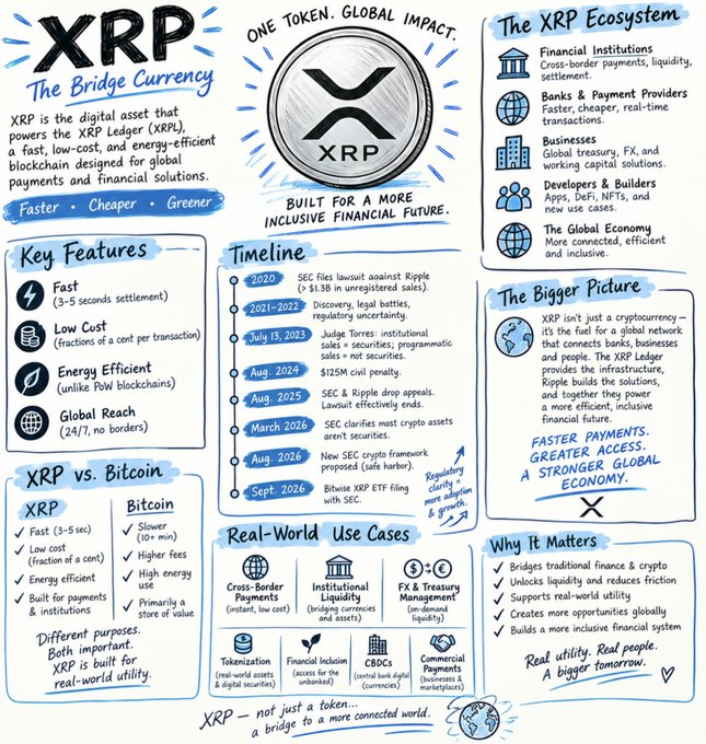This image is an infographic titled "XRP: The Bridge Currency," highlighting XRP as the digital asset powering the XRP Ledger (XRPL) for fast, low-cost blockchain payments. It features key sections including the XRP ecosystem, timeline of legal and SEC events (2020–2026), real-world use cases like cross-border payments and CBDCs, a comparison chart of XRP vs. Bitcoin, and a "Bigger Picture" message emphasizing XRP's role in enabling a faster, more inclusive global financial system through its bridge utility between banks, businesses, and people.