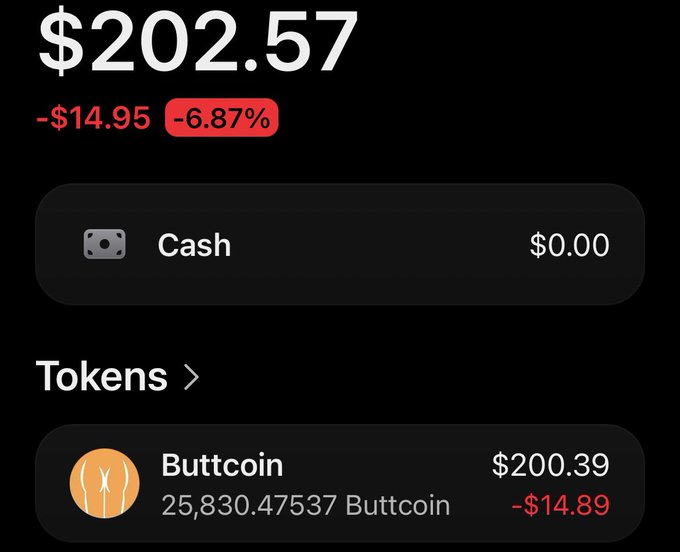 A digital wallet interface displays a total balance of $202.57, down by $14.95 (-6.87%), with $0.00 cash and 25,830.47537 "Buttcoin" tokens valued at $200.39 (down $14.89).