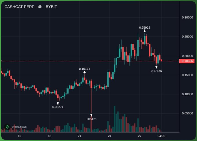 A 4-hour candlestick chart of $CASHCAT PERP on Bybit shows the token's price journey, marked with key levels at a low of 0.05121, intermediate points at 0.15174 and 0.17676, and a recent peak of 0.25928 before pulling back to the current price of 0.18636. The chart visualizes the strong upward momentum and volatility that supports the post's claim of $CASHCAT being the leading and strongest coin on Robinhood Chain.