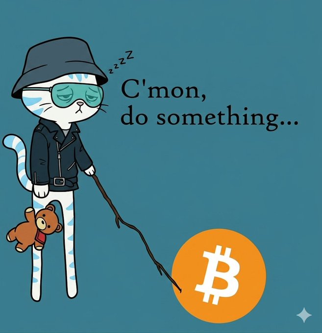 The image features a cartoon cat wearing sunglasses and holding a teddy bear while standing next to an orange Bitcoin symbol. The text "C'mon, do something...!" is written above the cat's head. This scene could be related to a post about cryptocurrency or investing in Bitcoin, as it uses a relatable and humorous character to convey its message.