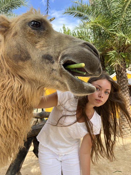 A young woman with long brown hair poses next to a camel that is eating some greenery, set outdoors with palm trees in the background.