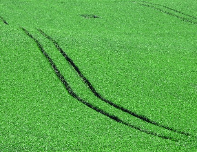 An aerial view of bright green farmland with curving tractor tracks visible in the crops.
