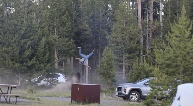 A person is captured mid-air doing a flip in a forested campground with a picnic table and SUV in the background, while another figure appears to land in a dust cloud below. The image humorously illustrates the "altcoin bison market" meme by showing someone being bucked off like a wild bull, suggesting that altcoins are throwing investors for a ride.