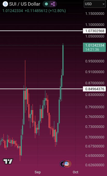A TradingView candlestick chart of SUI/US Dollar showing a price of 1.01242334 (+12.80%), with a sharp green upward price spike crossing the 1.07302568 resistance level as it moves into October.