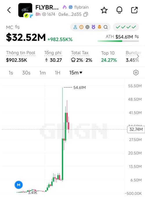 A cryptocurrency price chart for FLYBR (flybrain) showing a market cap of $32.52M with a +982.55% gain, reaching an ATH of $54.61M on a 15-minute timeframe.
