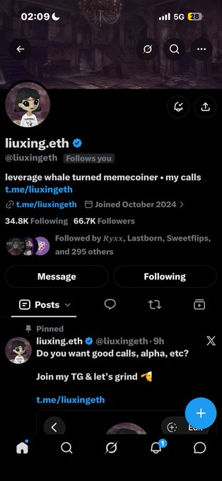 Screenshot of the Twitter/X profile for @liuxingeth (liuxing.eth), a leverage whale memecoin trader, with 34.8K Following and 66.7K Followers, showing a pinned post about a Telegram channel.