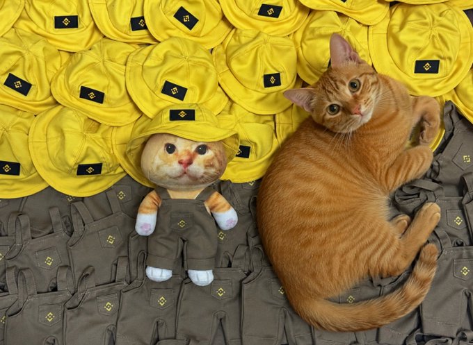 An orange tabby cat lies next to a stuffed toy cat dressed in miniature matching yellow hats and olive green overalls.