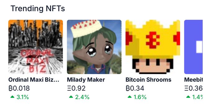 A 'Trending NFTs' section displaying four collections: Ordinal Maxi Biz (₿0.018, ▲3.1%), Milady Maker (Ξ0.92, ▲2.4%), Bitcoin Shrooms (₿0.34, ▲1.6%), and Meebit (Ξ0.36, ▲1.4%).