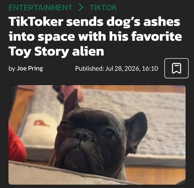 Article headline reading 'TikToker sends dog's ashes into space with his favorite Toy Story alien' by Joe Pring, published Jul 28, 2026, featuring a photo of a black French Bulldog.