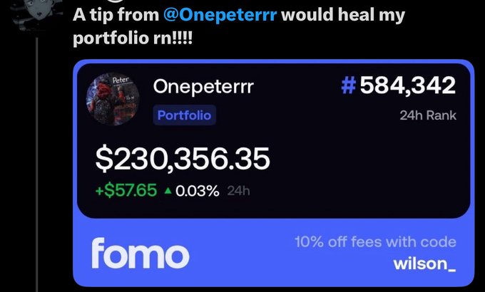 A user complains about "wallet watchers" while publicly tagging @Onepeterrr and showcasing a screenshot of their portfolio, which shows a value of $230,356.35 with a 24-hour gain of +$57.65 and rank #584,342, ironically promoting a 10% off code "wilson_" for the Fomo app.