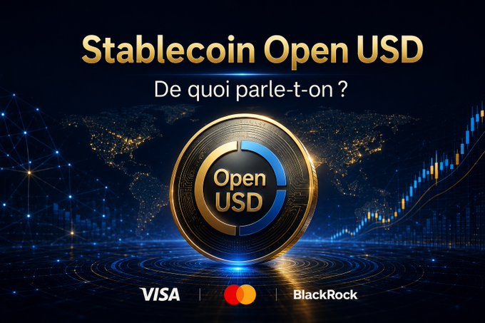 This image promotes "Stablecoin Open USD" with the text "De quoi parle-t-on?" (What are we talking about?) and features logos for Visa and BlackRock, hinting at a new stablecoin entering the market.