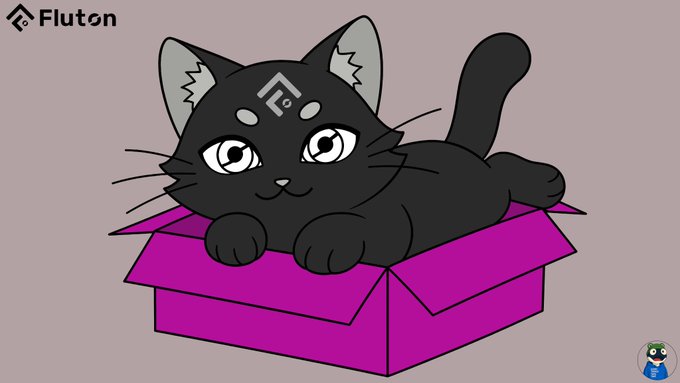 A cute black cartoon cat peeks out of a bright pink box, accompanied by the "Fluton" logo in the upper left corner, visually echoing the post's theme of privacy by showing a clever cat keeping itself concealed—much like how Fluton keeps intents "encrypted from the moment they're created."