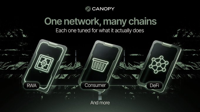 Canopy promotional graphic reading 'One network, many chains - Each one tuned for what it actually does,' displaying three smartphone screens labeled RWA, Consumer, and DeFi.