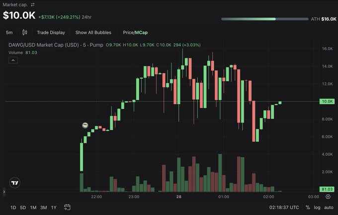 A TradingView candlestick chart showing DAWG/USD market cap at $10.0K with a +249.21% 24h change, displaying price action between roughly $4K and $16K with volume bars at the bottom.