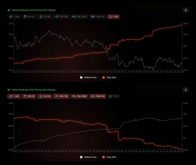 Two charts showing 'Wallet Distribution Over Time by ADA Holdings' with category filters (<100, 100-1K, 1K-10K, 10K-75K, 75K-250K, 250K-1M, >1M), displaying 'Wallet Count' (dotted line) and 'Total ADA' (orange line) trends.