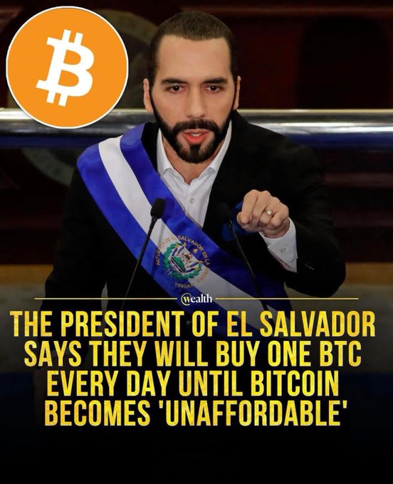 A graphic features the President of El Salvador wearing a blue and white presidential sash beside a Bitcoin logo, with text stating: 'THE PRESIDENT OF EL SALVADOR SAYS THEY WILL BUY ONE BTC EVERY DAY UNTIL BITCOIN BECOMES UNAFFORDABLE.' The image is branded with a 'wealth' logo.
