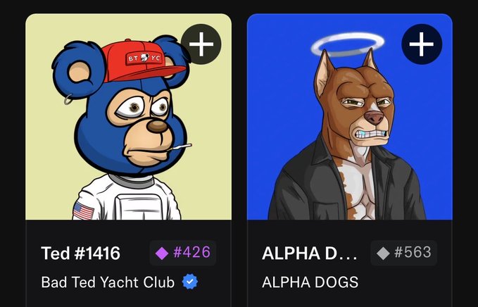 Two NFT collectibles displayed: Ted #1416 from 'Bad Ted Yacht Club' (#426) wearing a spacesuit and red cap, and 'ALPHA DOGS' #563 featuring a brown dog character in a leather jacket with a halo.