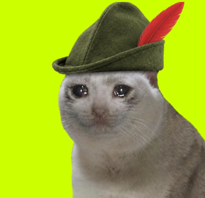 A white cat wearing a green felt Robin Hood-style hat with a red feather sits against a bright yellow-green background, personifying the "$CASHCAT" token referenced in the post about market comeback predictions.