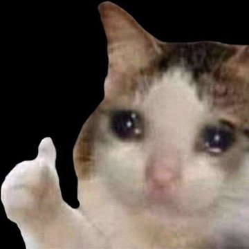 A sad-looking cat gives a thumbs up against a black background. The pose humorously represents holding on and staying optimistic despite tough times, matching the post's sentiment about enduring a difficult economic period with their portfolio.