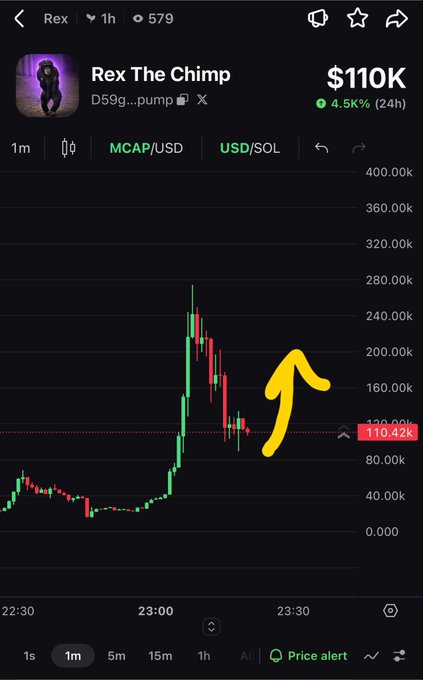 A cryptocurrency price chart for 'Rex The Chimp' showing a market cap of $110K with a 4.56% gain over 24 hours, featuring a yellow arrow highlighting a recent price spike.
