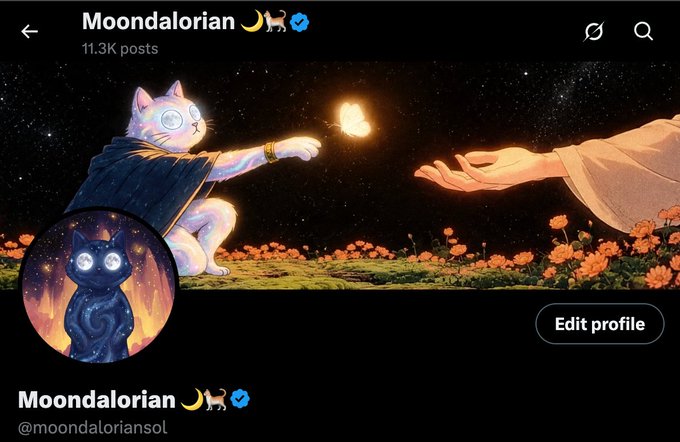 A social media profile for 'Moondalorian' (@moondaliariansol) featuring a cat character in a dark cloak extending a glowing hand toward another hand reaching from the right, with 11.3K posts.