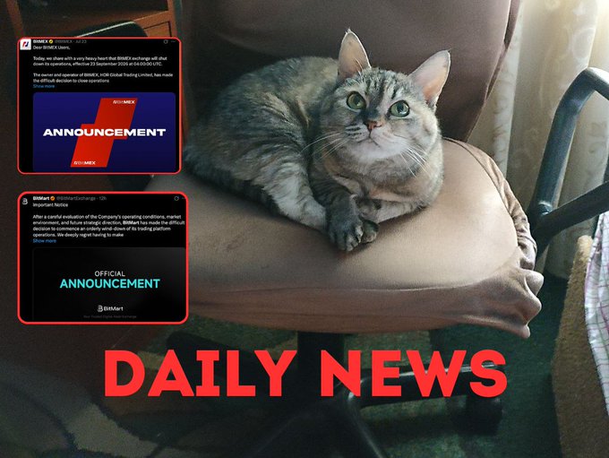 A photo of a tabby cat sitting on an office chair, with overlaid news posts about BitMart exchange and the text 'DAILY NEWS' in red at the bottom.