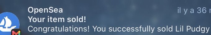 A notification from OpenSea reads 'Your item sold! Congratulations! You successfully sold Lil Pudgy' with a French translation 'il y a 36' partially visible on the right.