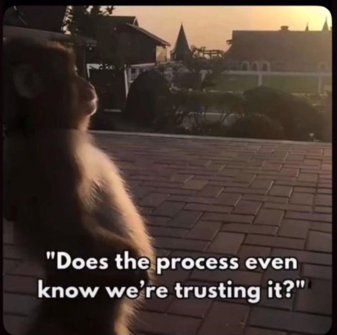 A cinematic still showing a monkey in the foreground looking out at a sunset over rooftops and trees, with the quote overlay: 'Does the process even know we're trusting it?'