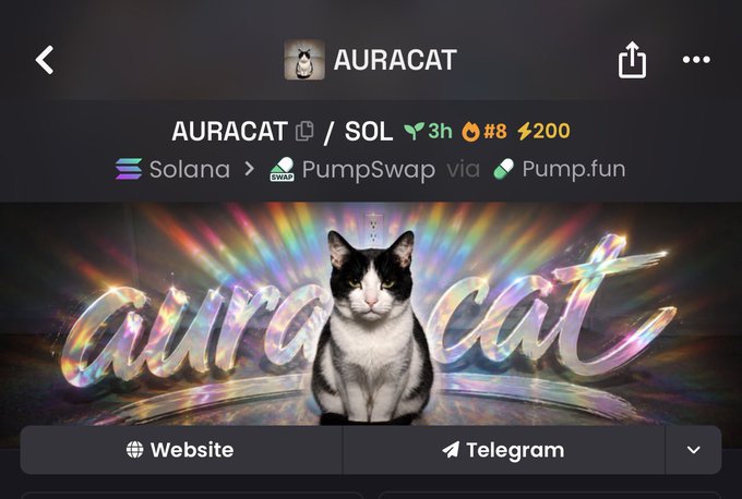 A screenshot of the AURACAT ($AURACAT/SOL) meme coin page on Solana, displaying a black-and-white cat with "aura cat" written in iridescent lettering, alongside stats showing it's 3h old, ranked #8, and powered via PumpSwap/Pump.fun, reflecting the post's hype of paid boosts, KOL calls, and buybacks aimed at pushing the token to "millions."