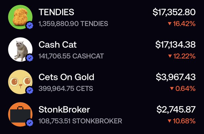A crypto portfolio tracker screenshot displays holdings in TENDIES ($17,352.80, down 16.42%), Cash Cat ($17,134.38, down 12.22%), Cets On Gold ($3,967.43, down 0.64%), and StonkBroker ($2,745.87, down 10.68%), illustrating the meme-coin portfolio's red day while its creator remains bullish on eventual all-time highs.