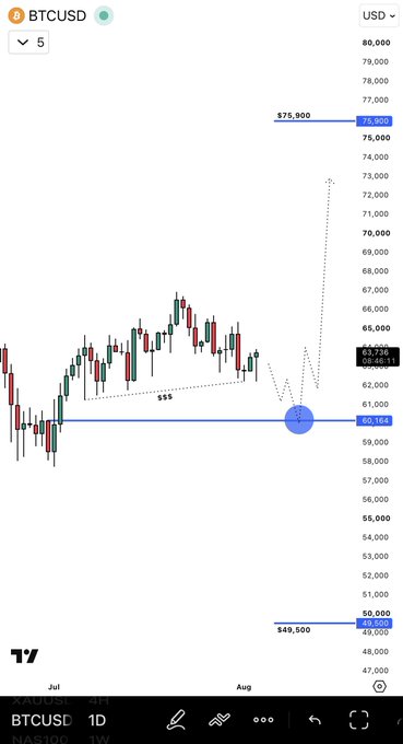 A BTCUSD weekly candlestick chart shows price action between $49,500 and $75,900, with a highlighted support zone around $60,164-$61,000 and a resistance target at $75,900, illustrating the analyst's view that Bitcoin is more likely to rally toward $75,900 than drop below $50K.