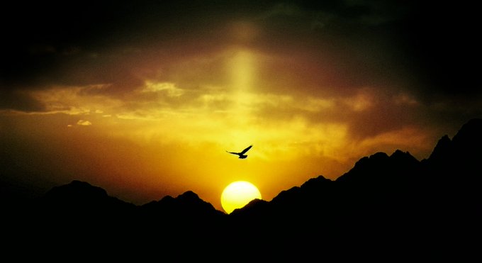 A silhouette of a bird flying across a dramatic sunset, with the sun setting behind dark mountain ridges and sun rays piercing through clouds.