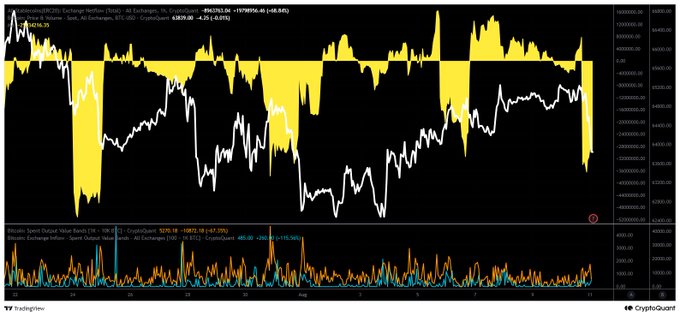 This TradingView chart from CryptoQuant displays the Coinbase USD Exchange Netflow alongside the BTC/USD price, showing the metric value at 1820.36 with a -8.25% change. The bottom panel tracks Bitcoin Spot Output Value and Exchange Inflow/Outflow, supporting the post's observation of continued stablecoin net outflows from exchanges that suggest prolonged short-term bearish momentum for Bitcoin.