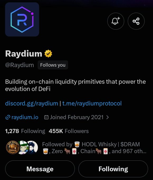The image shows the Twitter/X profile of **Raydium (@Raydium)**, a verified DeFi account with 455K followers that describes itself as "Building on-chain liquidity primitives that power the evolution of DeFi," linking to discord.gg/raydium and t.me/raydiumprotocol. The profile reflects the "SOLANA SUMMER" post, as Raydium is a leading decentralized exchange and liquidity provider on the Solana blockchain, making it a centerpiece of Solana's DeFi ecosystem during that hype cycle.