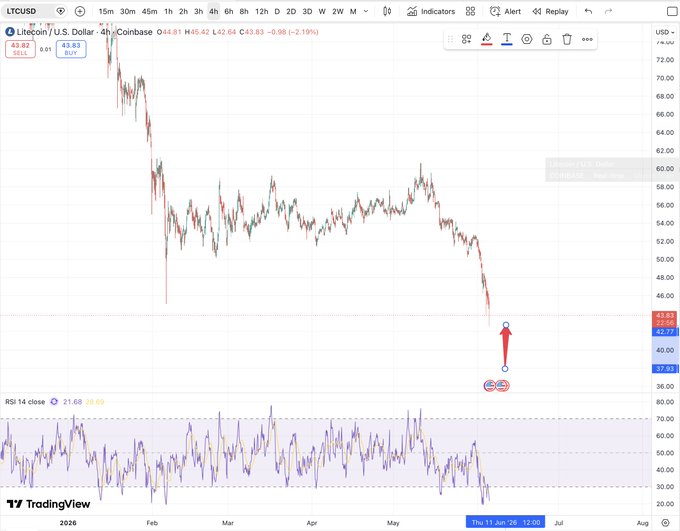 The image shows a graph displaying the performance of different asset classes against each other over a period of time. One of the asset classes, Litecoin, has been shown to have a serious chance of bouncing higher than its other counterparts despite some visible weaknesses in comparison. The other assets in the graph are expected to bounce harder as a response to Litecoin's relatively stronger performance during this period.